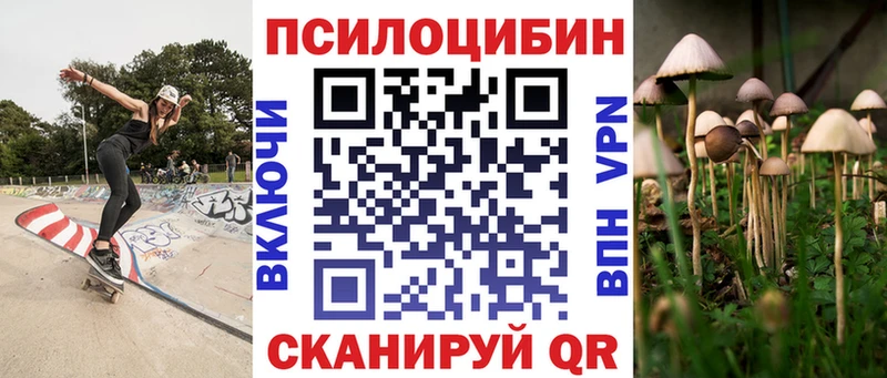 цены   Никольск  Псилоцибиновые грибы ЛСД 